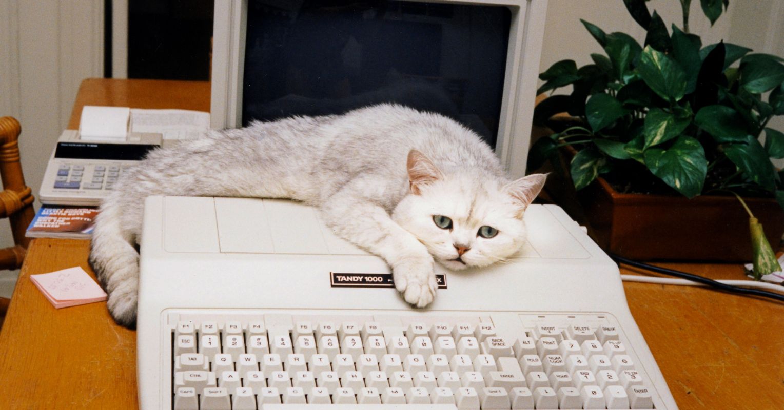 Four Years Out My Favorite “Turning Straw Into Gold" Pieces